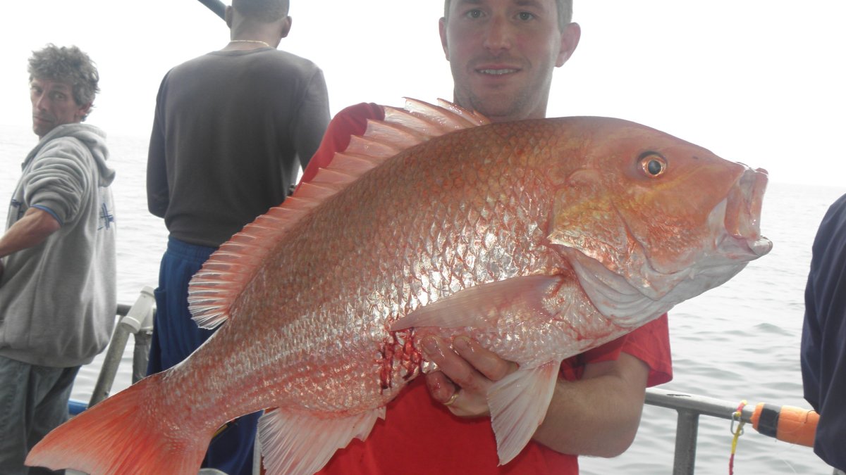 1st mate Will McClure with a large American Red snapper