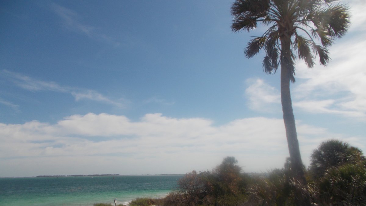 There's so much to see at Egmont Key, and the island is beautiful!