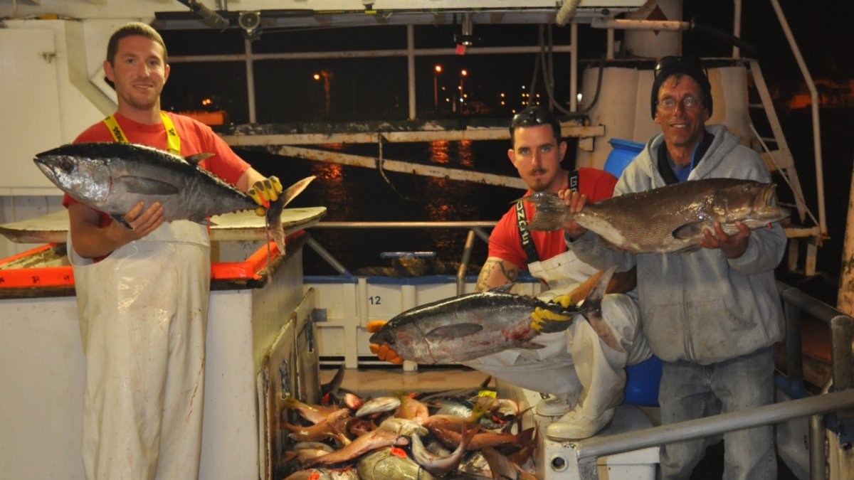 beautiful catch from a recent 39 hour overnight deep sea fishing trip