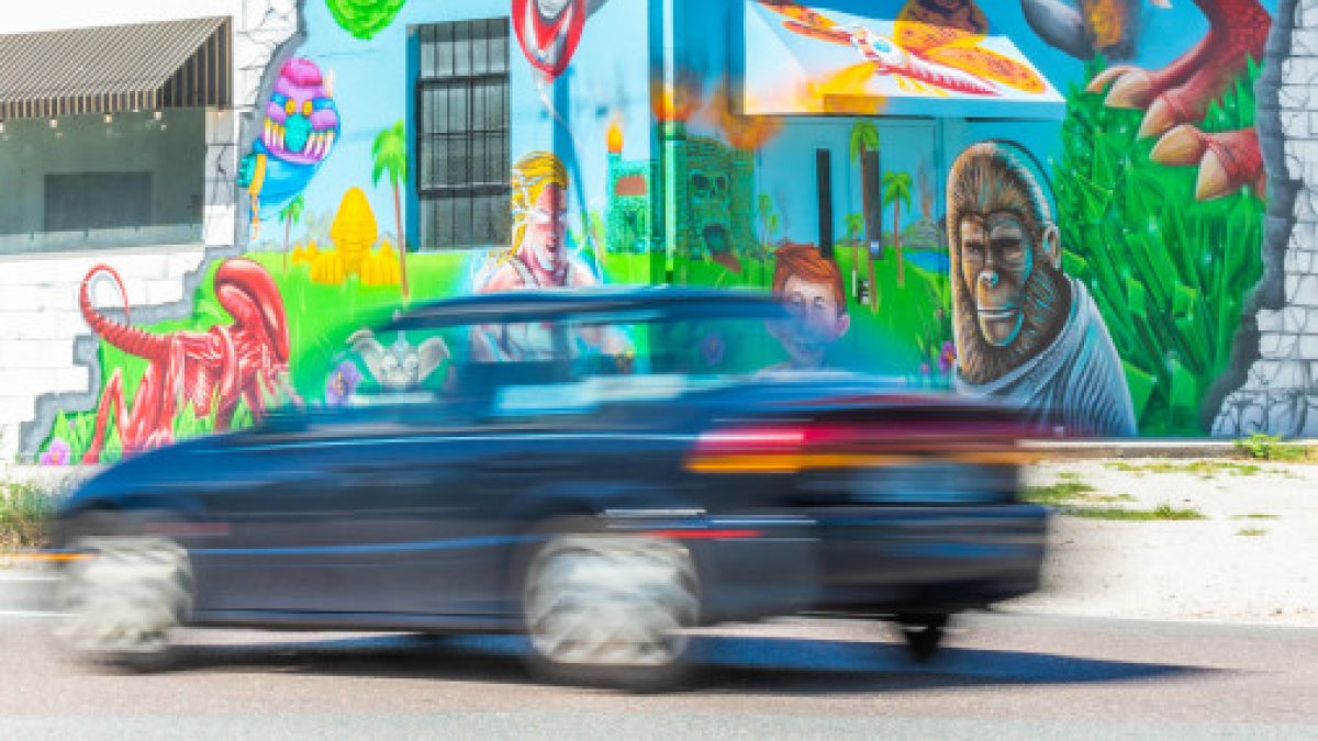Cultosaurus Mural by Derek Donnelly