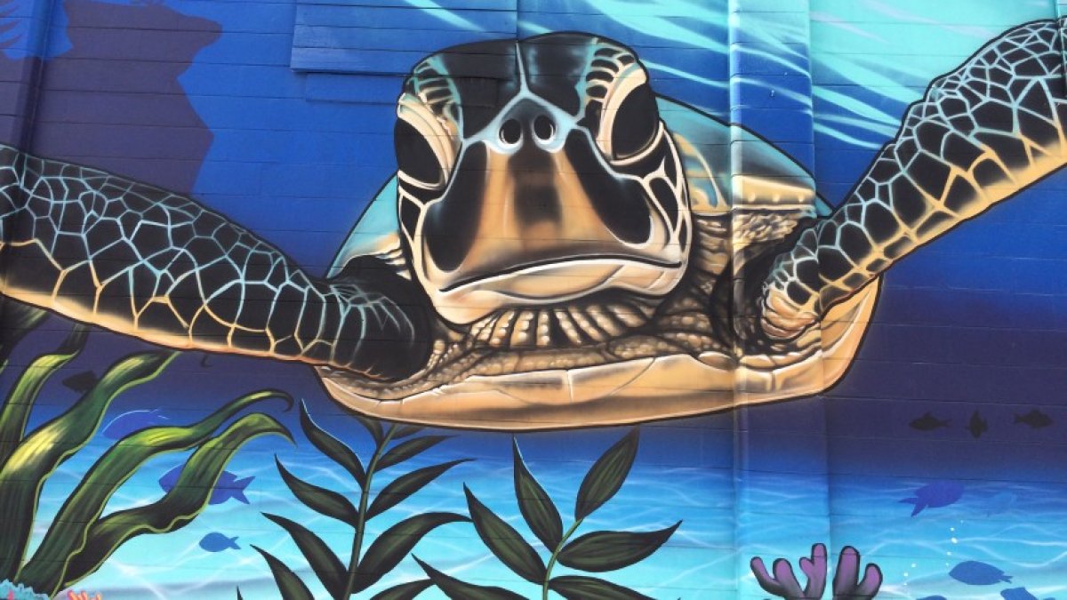 Under the Sea by Vitale Bros.