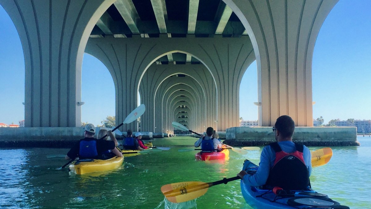 Coastal Kayak Tours St Pete