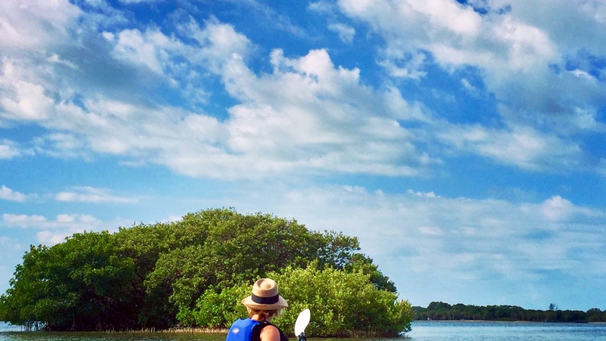 Coastal Kayak Tours St Pete