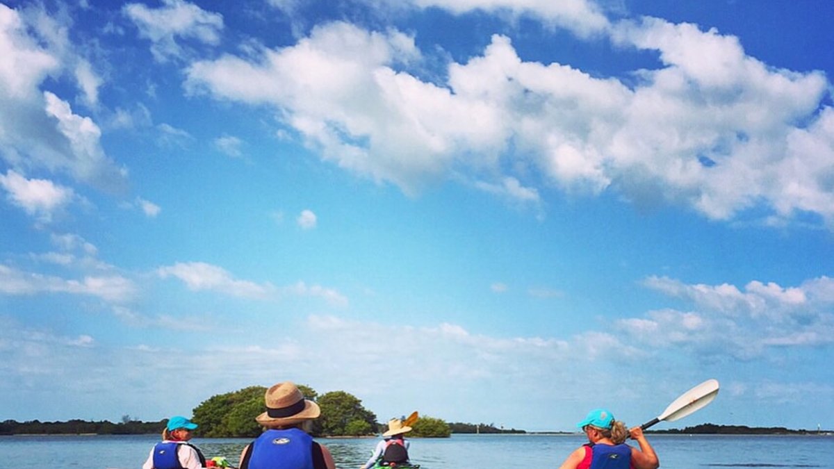 Coastal Kayak Tours St Pete