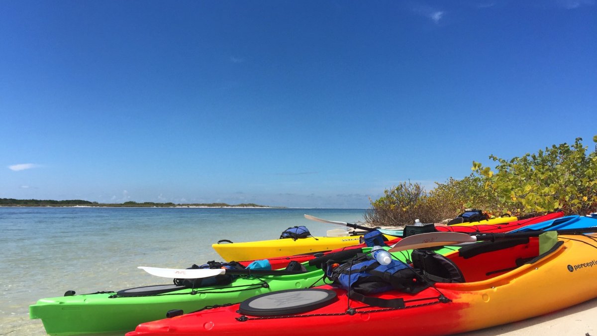 Coastal Kayak Tours St Pete