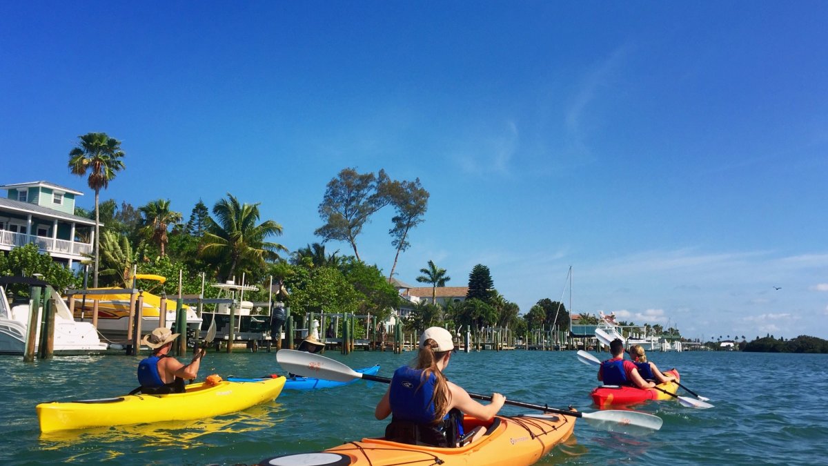 Coastal Kayak Tours St Pete