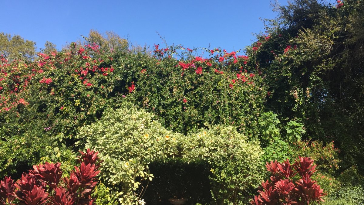 Sunken Gardens