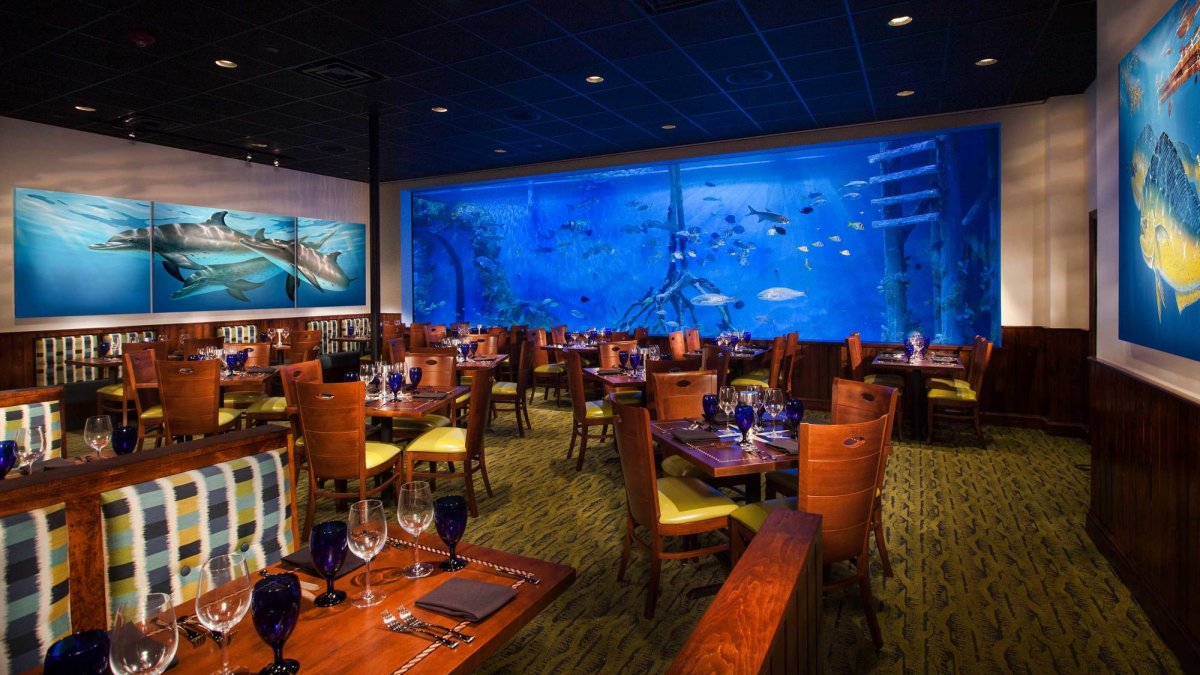 Dine on sustainable seafood at the extraordinary RumFish Grill