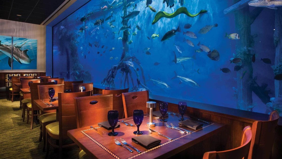 Dine in the shadows of a massive tank at RumFish Grill