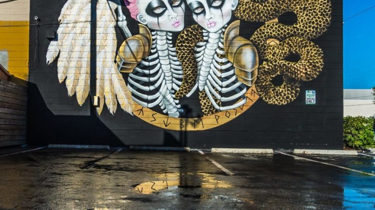 Bekky Beukes SHINE 2018 Mural