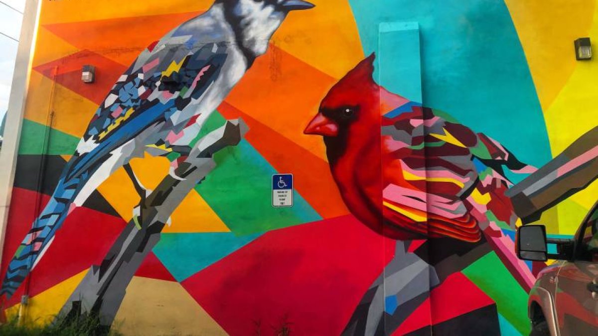 St. Pete Birds by Daas and Cecilia Lueza
