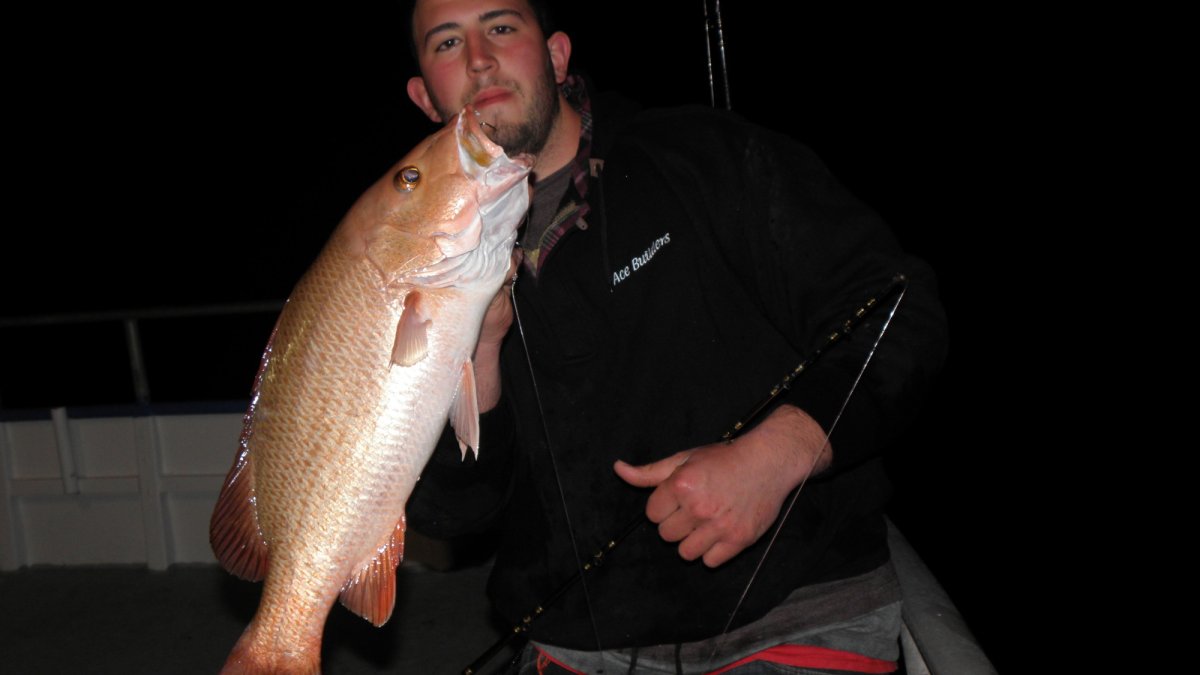 beautiful mangrove snapper caught on our 39 hour long-range overnight deep sea fishing trip
