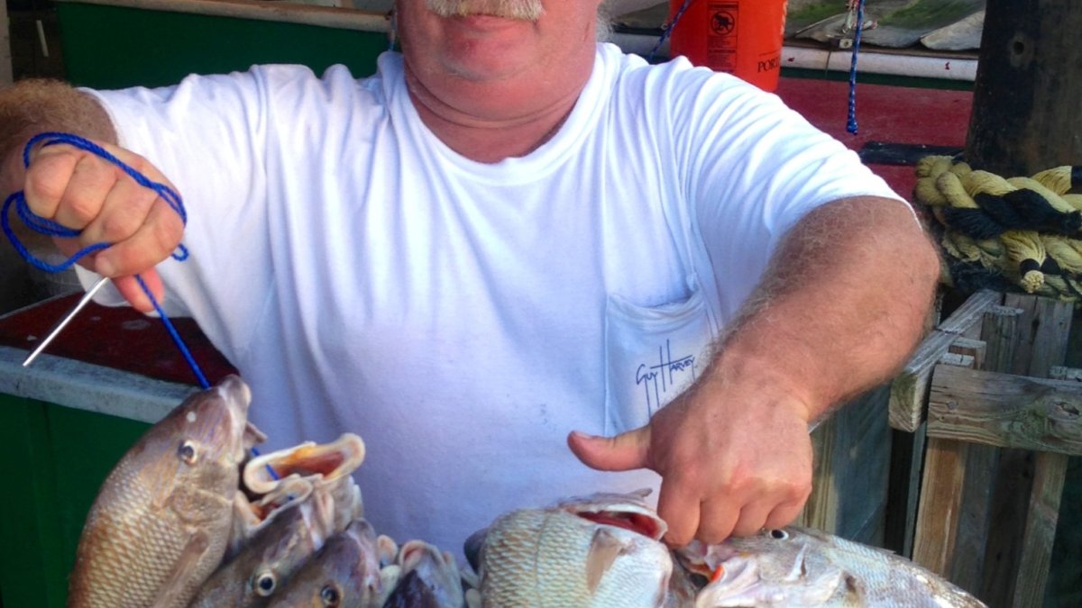 Grey snapper, porgies, and red grouper from an all-day deep sea fishing trip