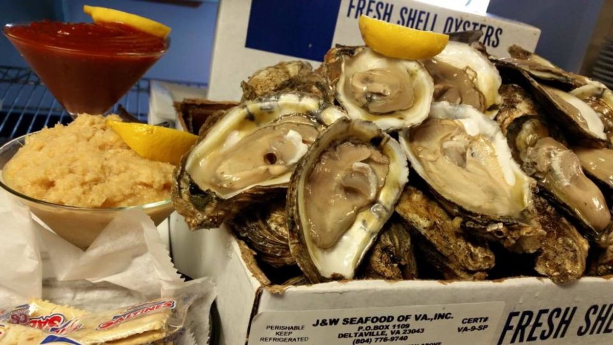 Fresh shucked oysters