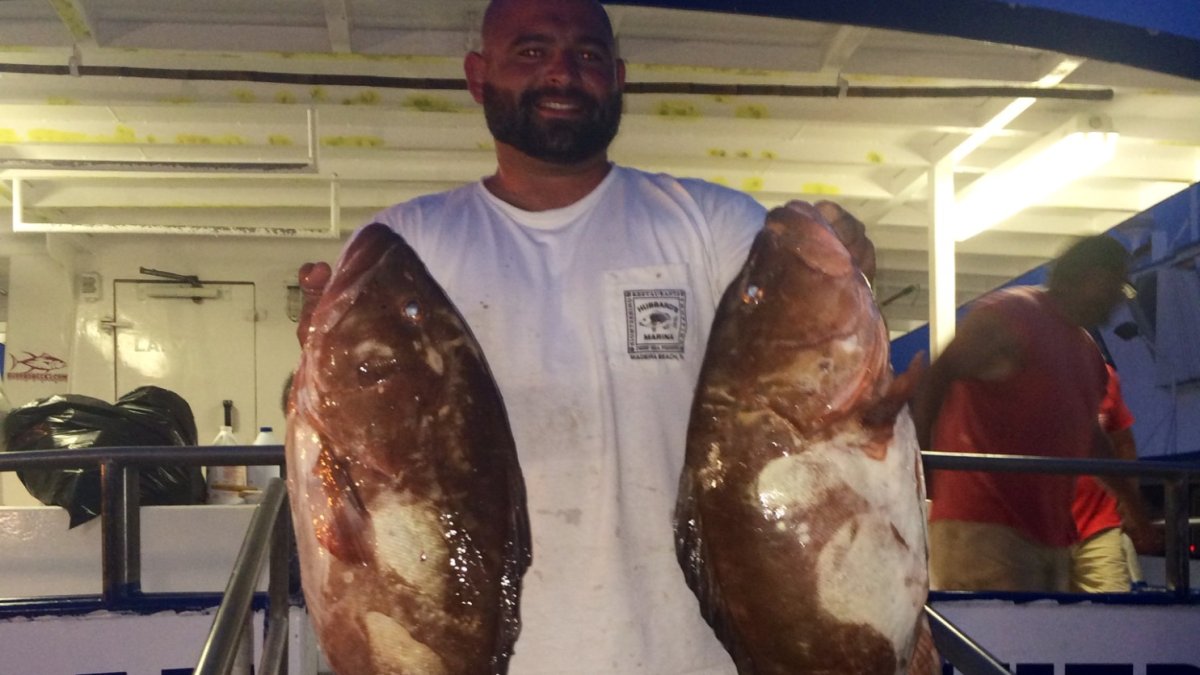 Captain Frank shows off two large red grouper from one of his 12 hour long-range specialty trips