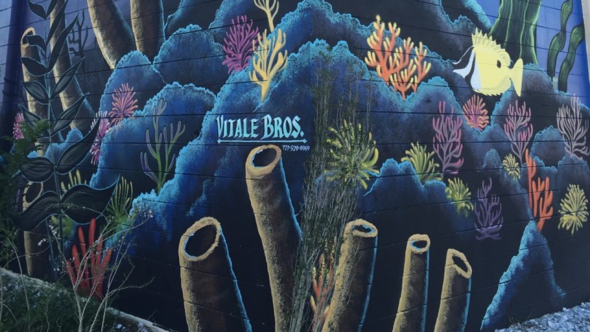 Under the Sea by Vitale Bros.