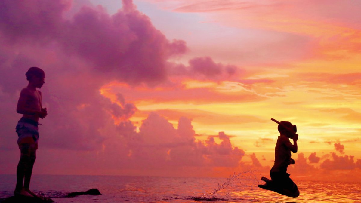 Honeymoon Island State Park