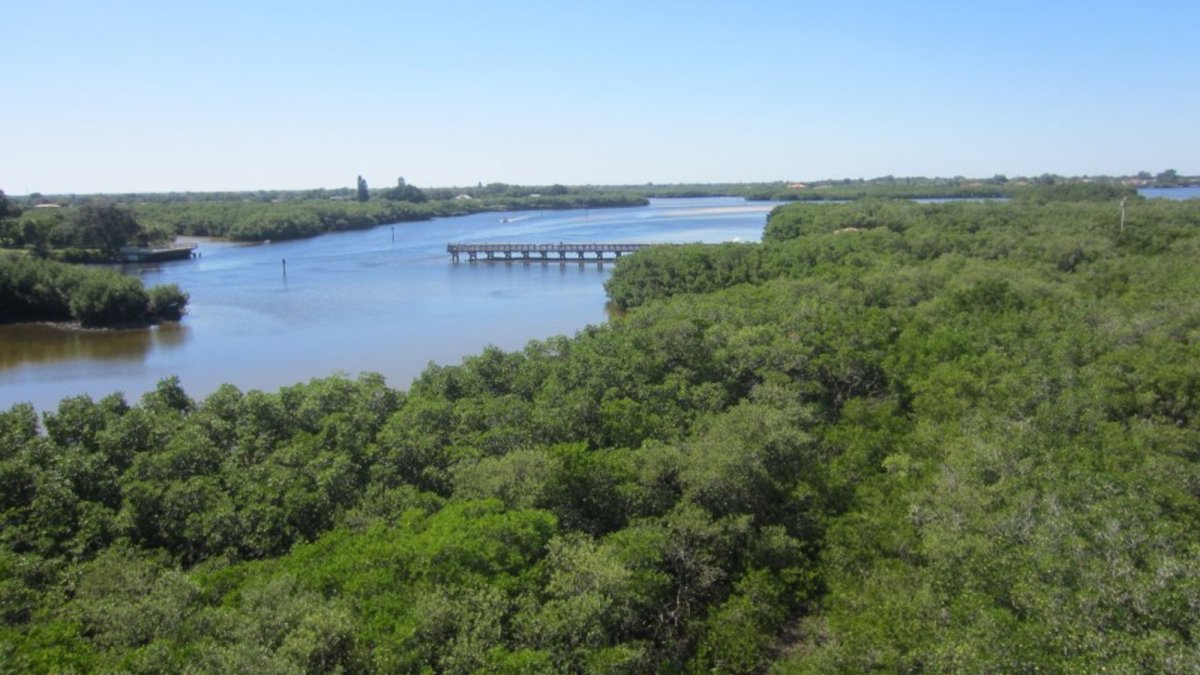 Weedon Island Preserve Cultural & Natural History Center